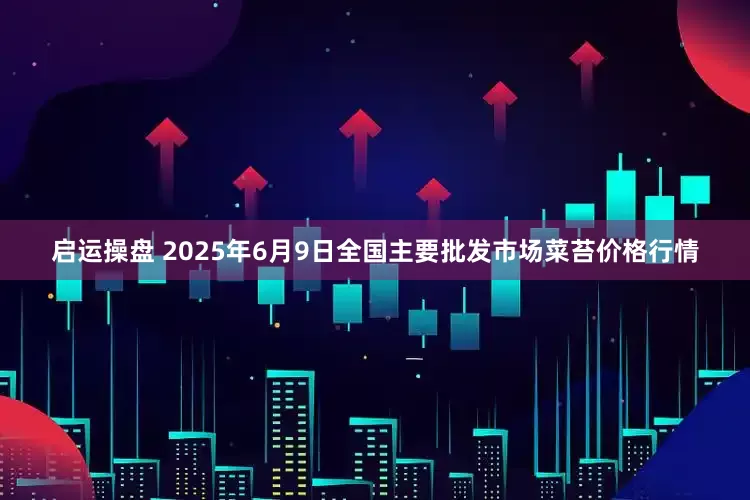 启运操盘 2025年6月9日全国主要批发市场菜苔价格行情